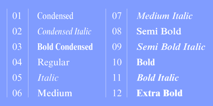 Times New Roman Font Poster 5